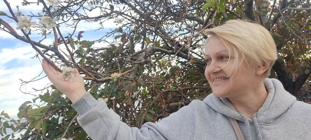 ���� 55565521 ������� �������, 50 ���, ���� ���������� � �����������