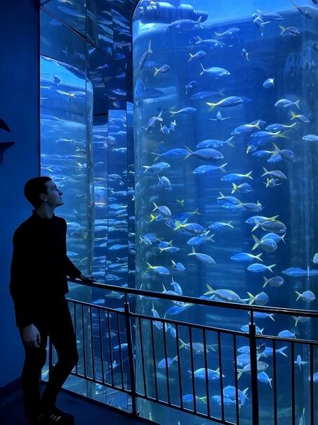 ���������� ����, ���� ����� ������, 23 ����, ������������ ��� ������, ����� � ���������, c�������� ���������, ���������