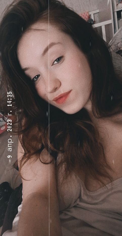  33726641  , 21 ,    -