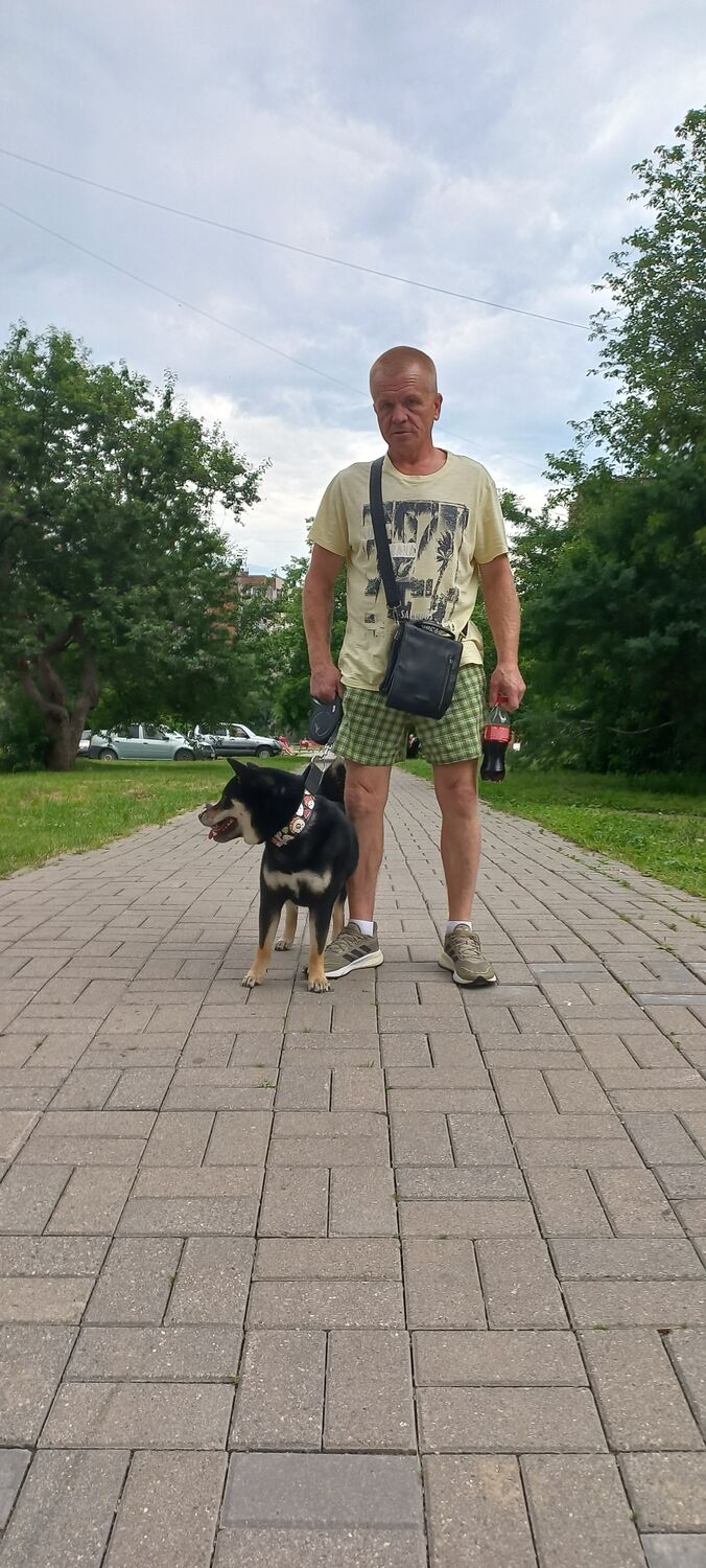 ���������� ���������, ���� ������� �������, 50 ���, ������������ ��� ������, ����� � ���������, c�������� ���������