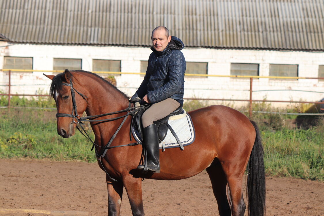 ���� 25576551 ������� ���������, 42 ����, ���� ���������� � �������