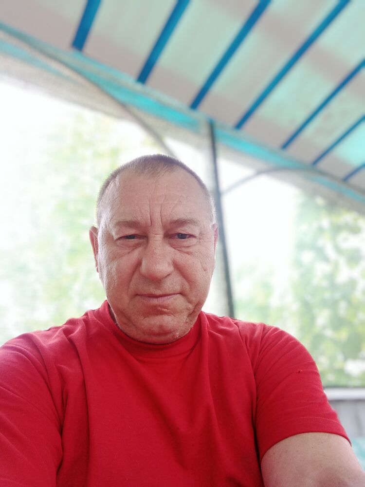  31202621  , 61 ,    