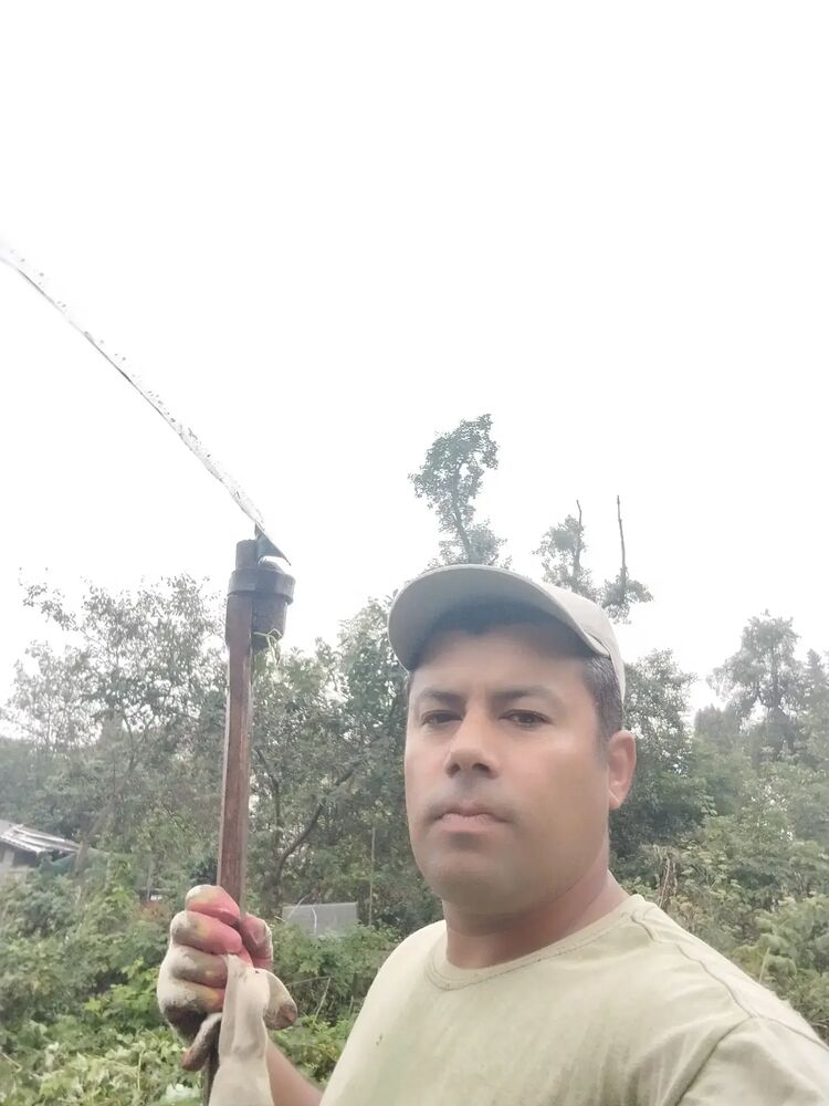  46980271   , 38 ,    
