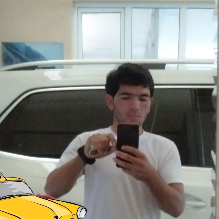  37933971  , 28 ,    