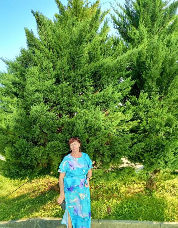 ���������� �������, ���� ������� ��������, 58 ���, ������������ ��� ����� � ���������, c�������� ���������