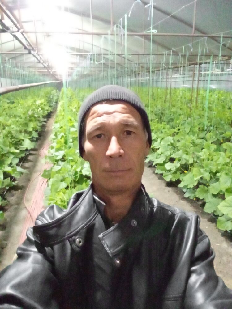 ���������� ������, ���� ������� ������, 40 ���, ������������ ��� ������, ����� � ���������