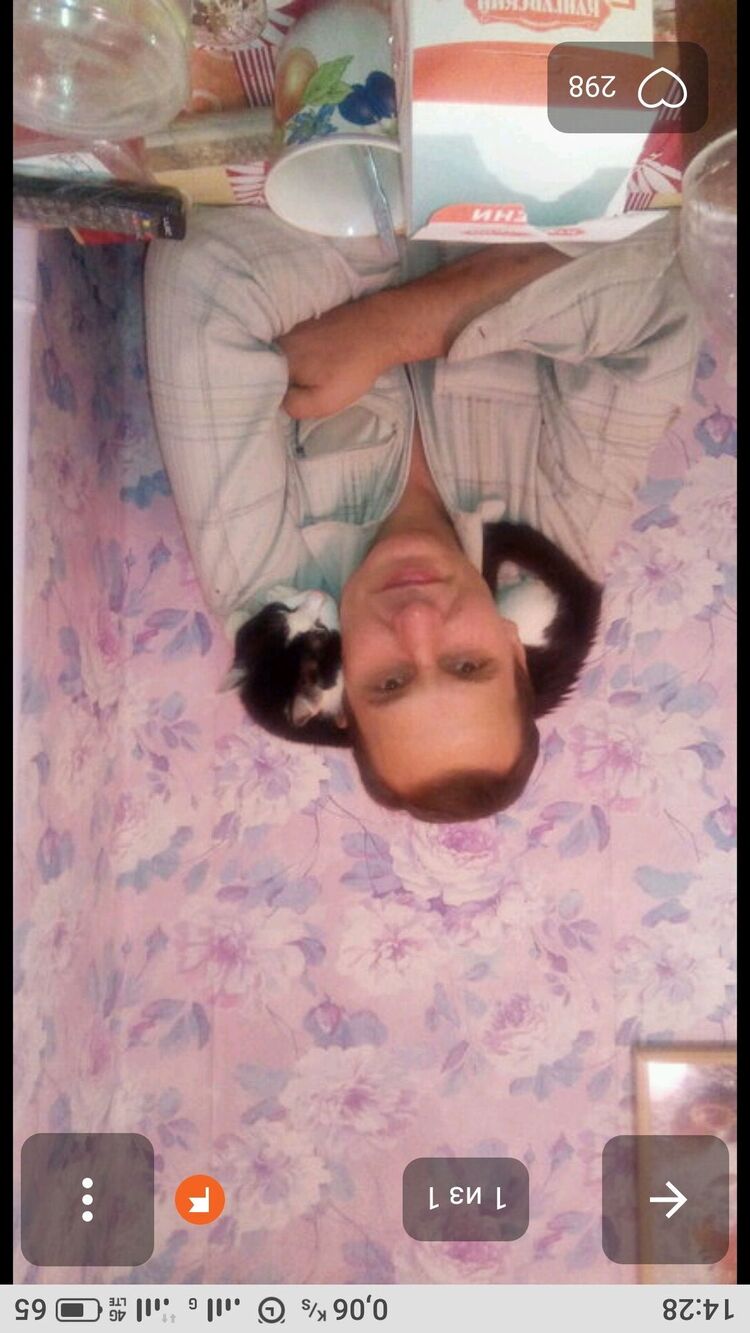  28825541  , 56 ,    
