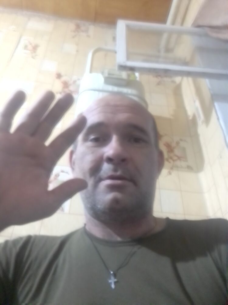  49365131  , 43 ,    