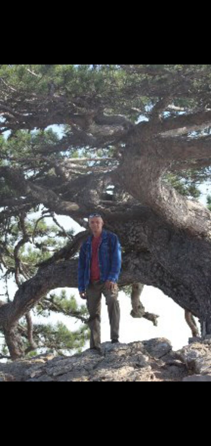 ���� 24081171 ������� ���������, 49 ���, ���� ���������� � �������-��-����