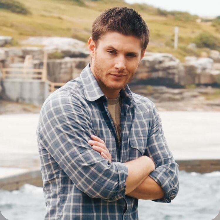 ���� 46267081 ������� �����, 42 ����, ���� ���������� � ������