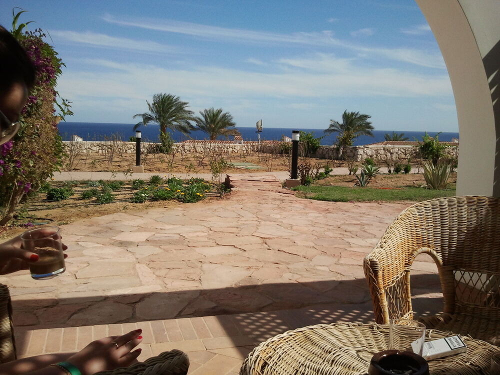 ���� 6434531 ������� ���������, 48 ���, ���� ���������� � ���������