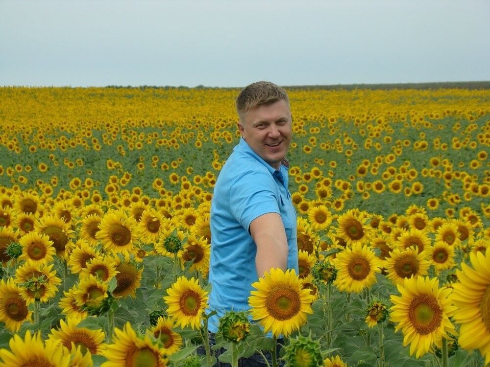 ���� 11970631 ������� ����, 50 ���, ���� ���������� � ����������