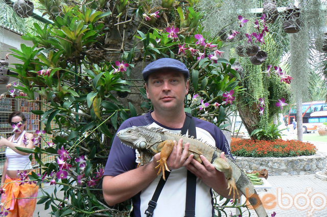 ���� 993551 ������� Bigimot, 55 ���, ���� ���������� � ��������