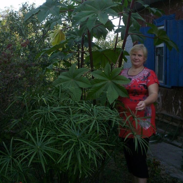  ,   , 62 ,   