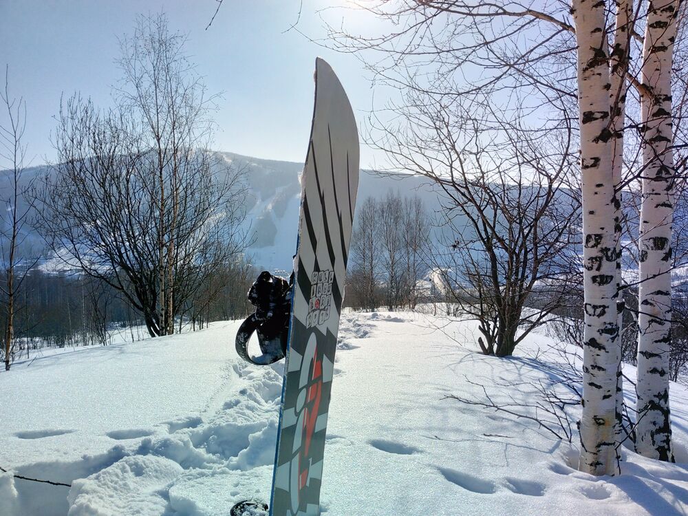 ���������� ������������, ���� ������� ������, 36 ���, ������������ ��� ����� � ���������, c�������� ���������