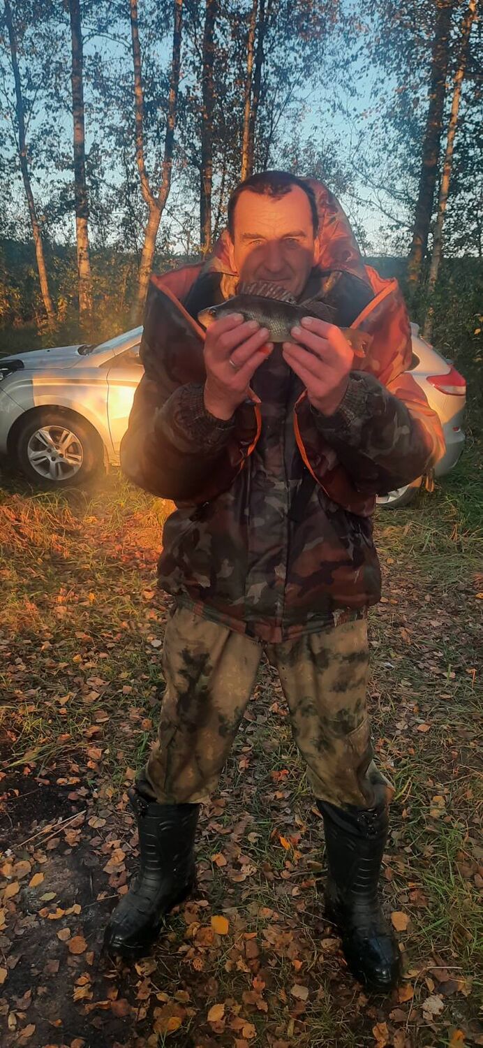 ���� 56179891 ������� ������, 57 ���, ���� ���������� � ����������