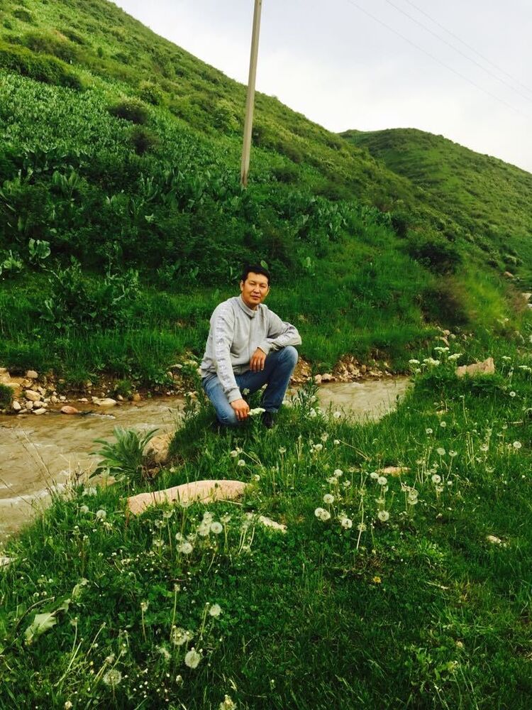 ���� 13195031 ������� ����, 40 ���, ���� ���������� � ������