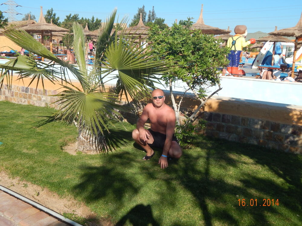 4094401  , 38 ,    