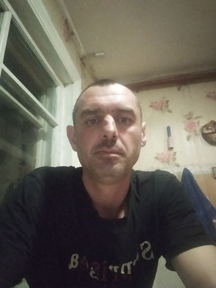  43499531  , 43 ,    