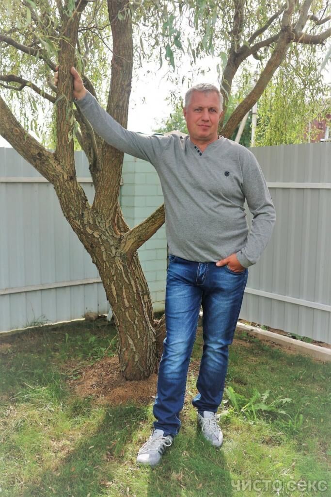 ���� 45228541 ������� ���������, 54 ����, ���� ���������� � ������