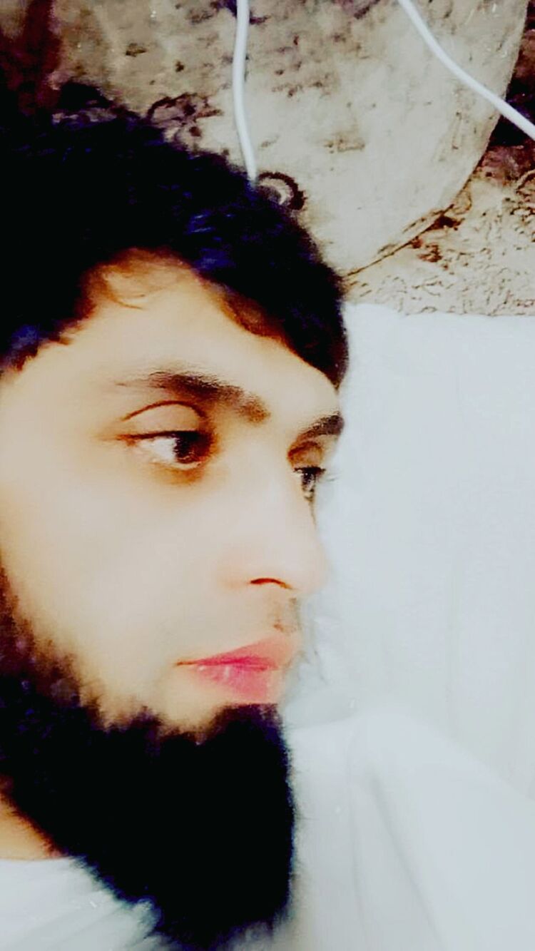  31258231  , 33 ,    