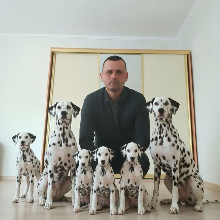 ���������� �������, ���� ������� �����, 39 ���, ������������ ��� ������, ����� � ���������, c�������� ���������, ���������