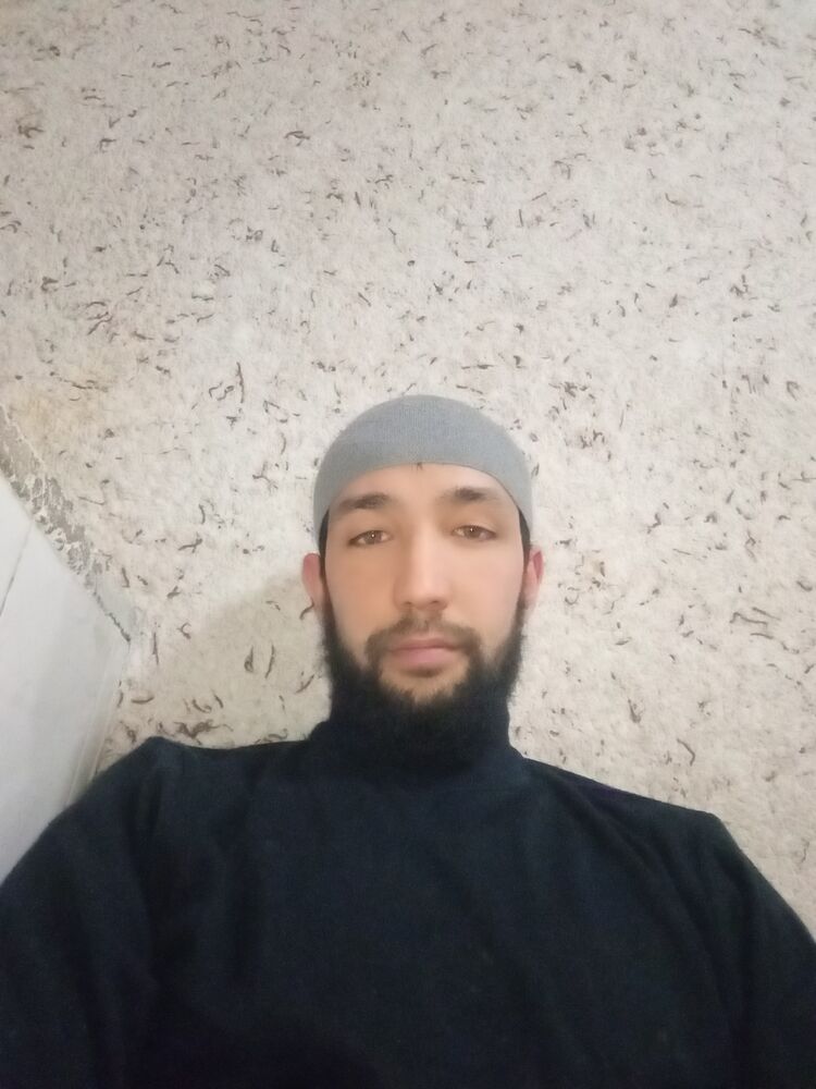  43857051  , 33 ,    