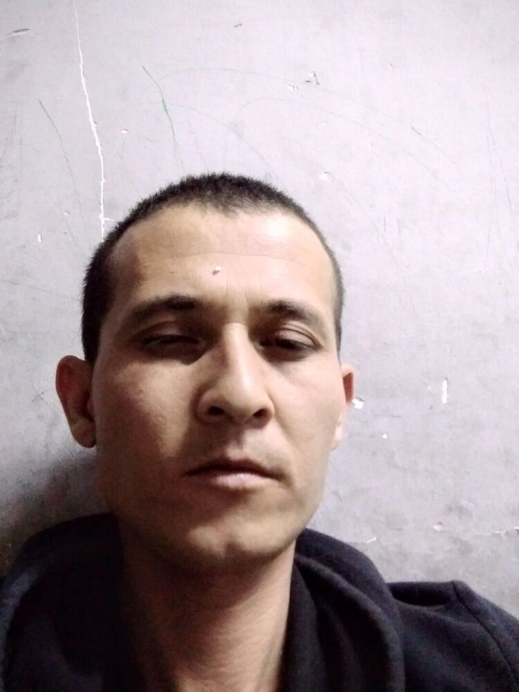  28556261  , 36 ,    