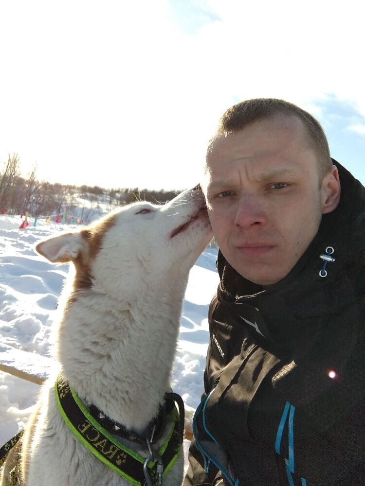 ���� 25429441 ������� ������, 33 ����, ���� ���������� � ���������