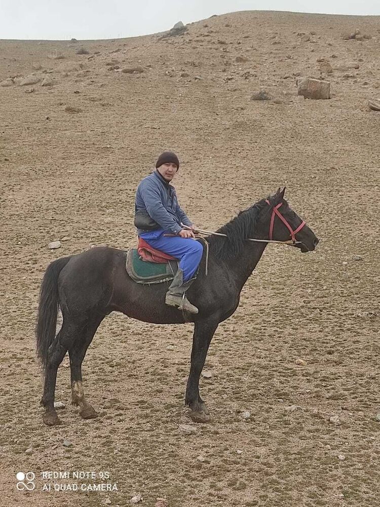 ���� 25399651 ������� ���, 37 ���, ���� ���������� � ����