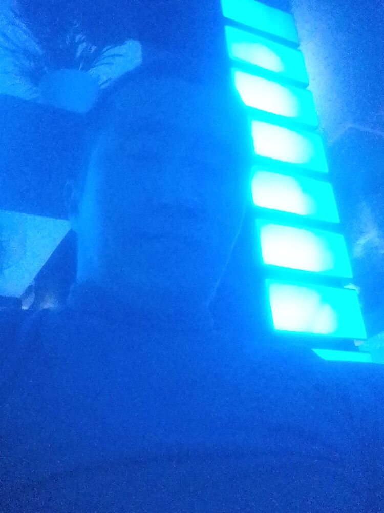 ���� 26874191 ������� �����, 31 ���, ���� ���������� � �����������