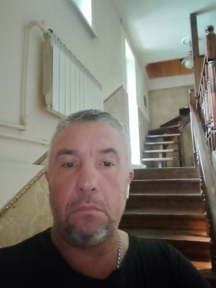  53094681  , 47 ,    