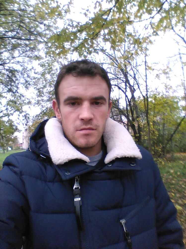  8331341  , 31 ,    -