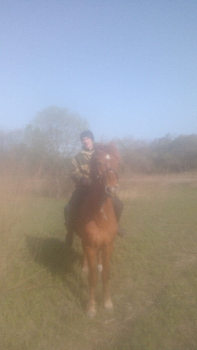 ���������� �����, ���� ������� �������, 32 ����, ������������ ��� ������, ����� � ���������, c�������� ���������