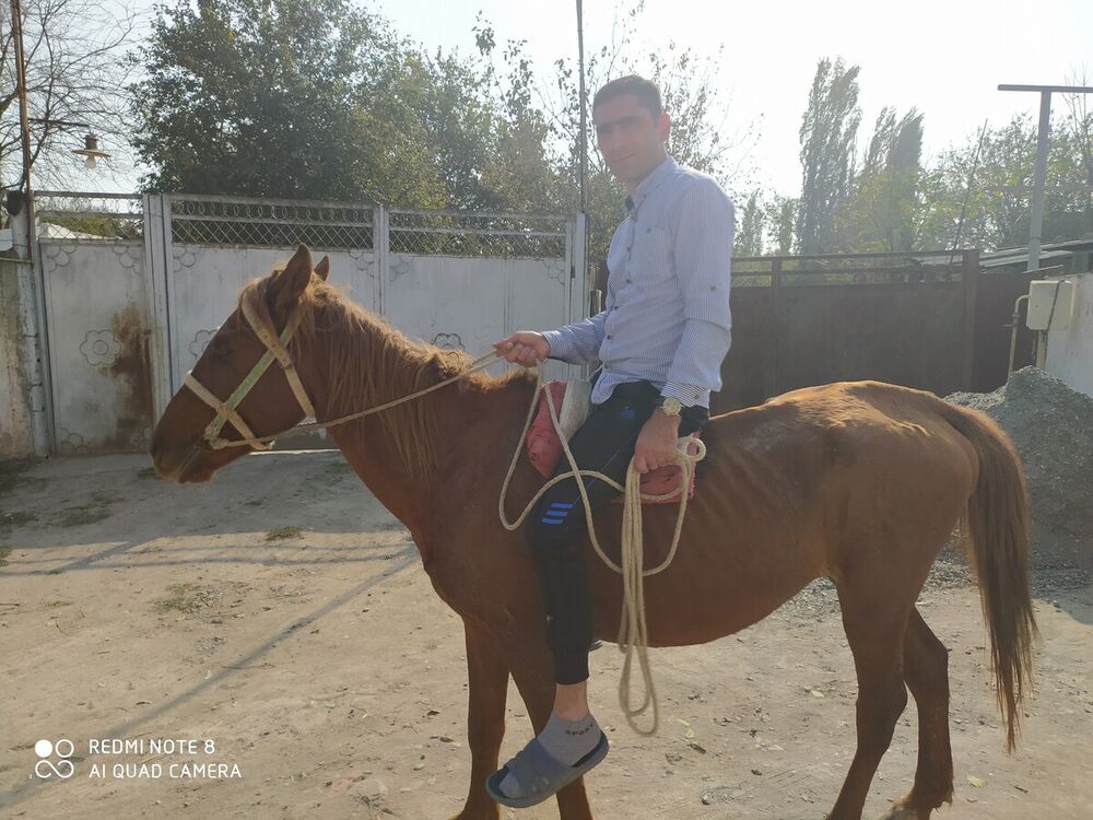 ���� 21606191 ������� Xalid, 41 ���, ���� ���������� � ����