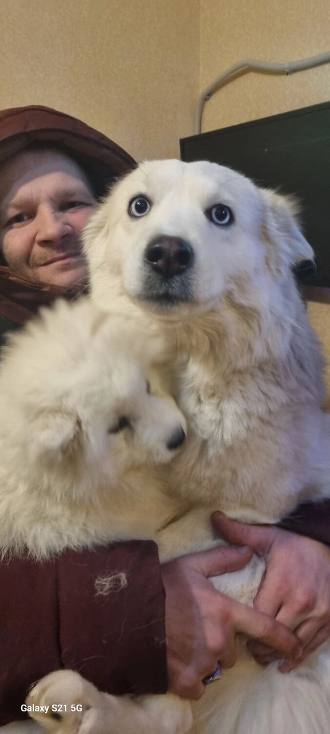  ,   , 37 ,     , c , 