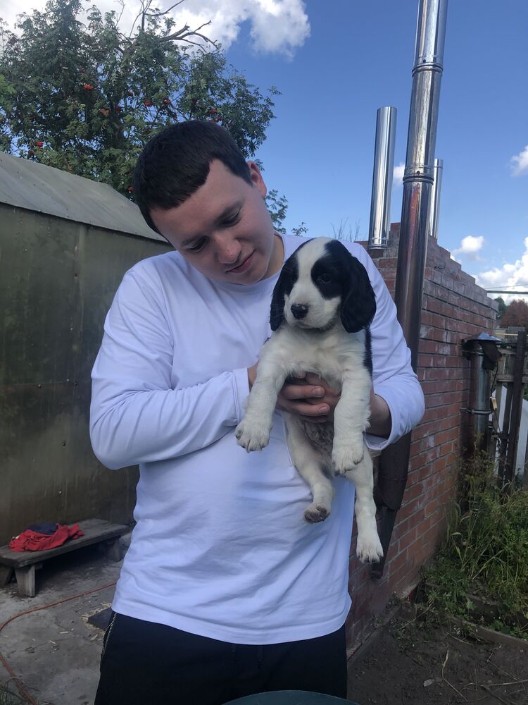 ���������� �����������, ���� ������� �������, 27 ���, ������������ ��� ������, ����� � ���������