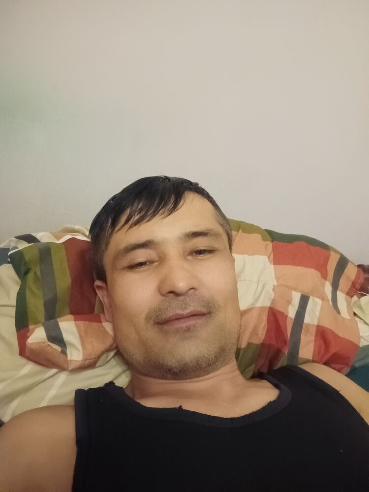  50274441   , 41 ,    