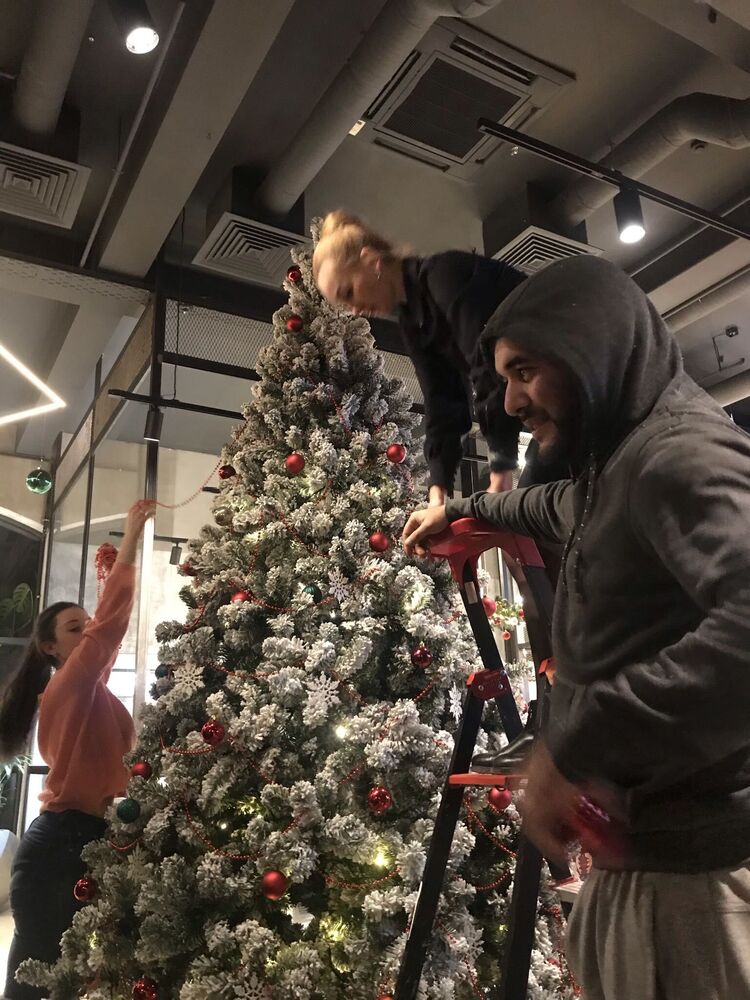 ���������� ���������, ���� ������� �����, 31 ���, ������������ ��� ������, ����� � ���������, c�������� ���������