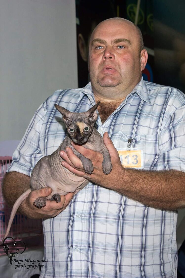 ���� 55075301 ������� �����, 51 ���, ���� ���������� � ���������