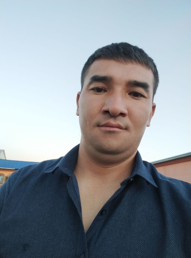 ���� 31293201 ������� ����, 39 ���, ���� ���������� � ������