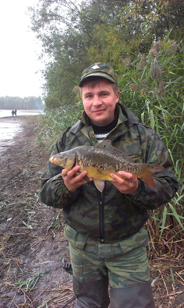  36991631  Dmitriy, 39 ,    