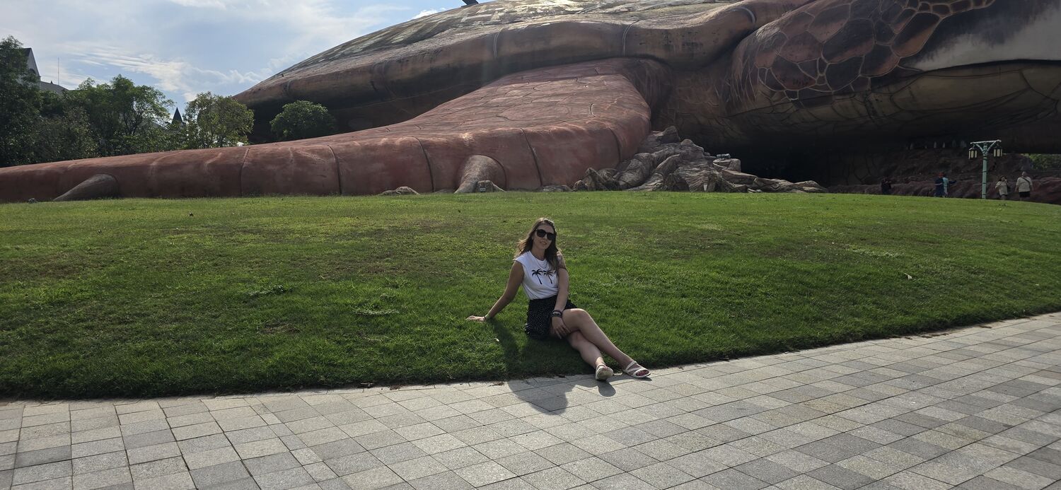 ���� 50077221 ������� ������, 40 ���, ���� ���������� � ������