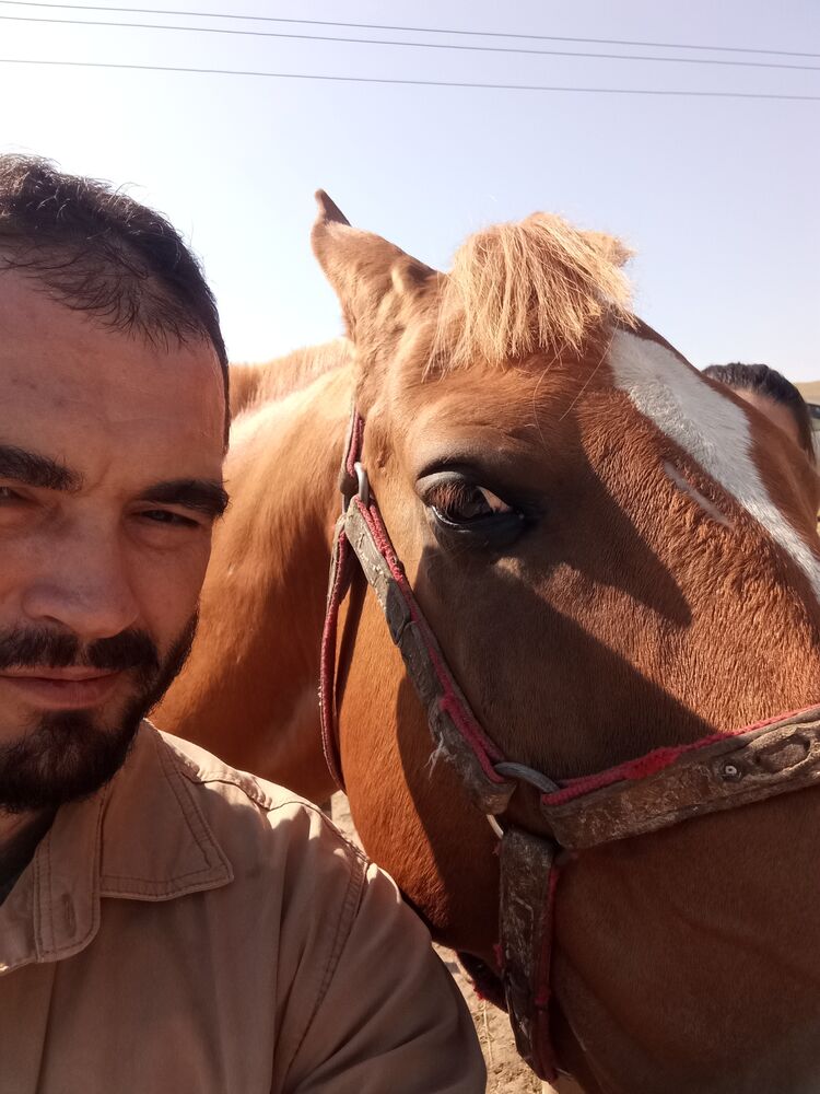 ���� 55701331 ������� �������, 42 ����, ���� ���������� � ������