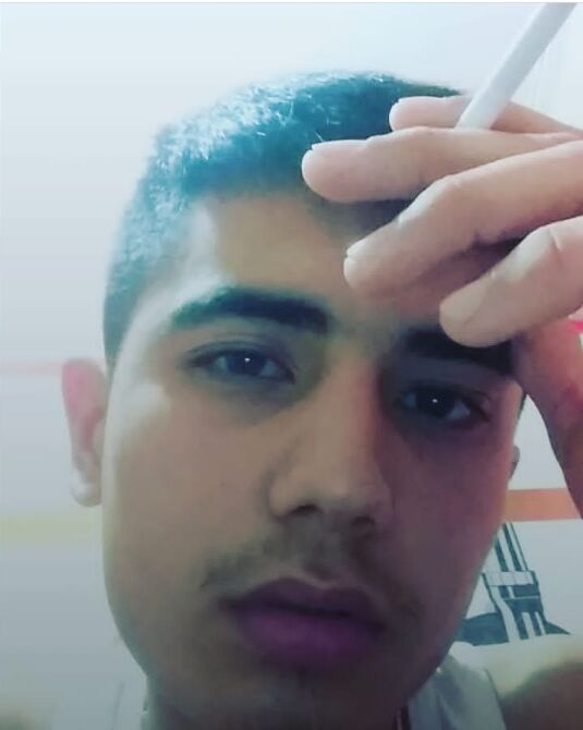 ���� 27816391 ����� ������, 24 ����, ���� ���������� � ������