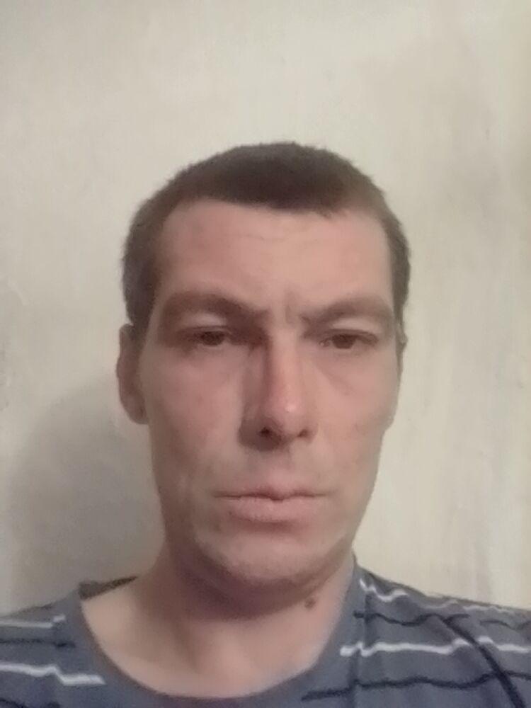  31816051  , 36 ,    