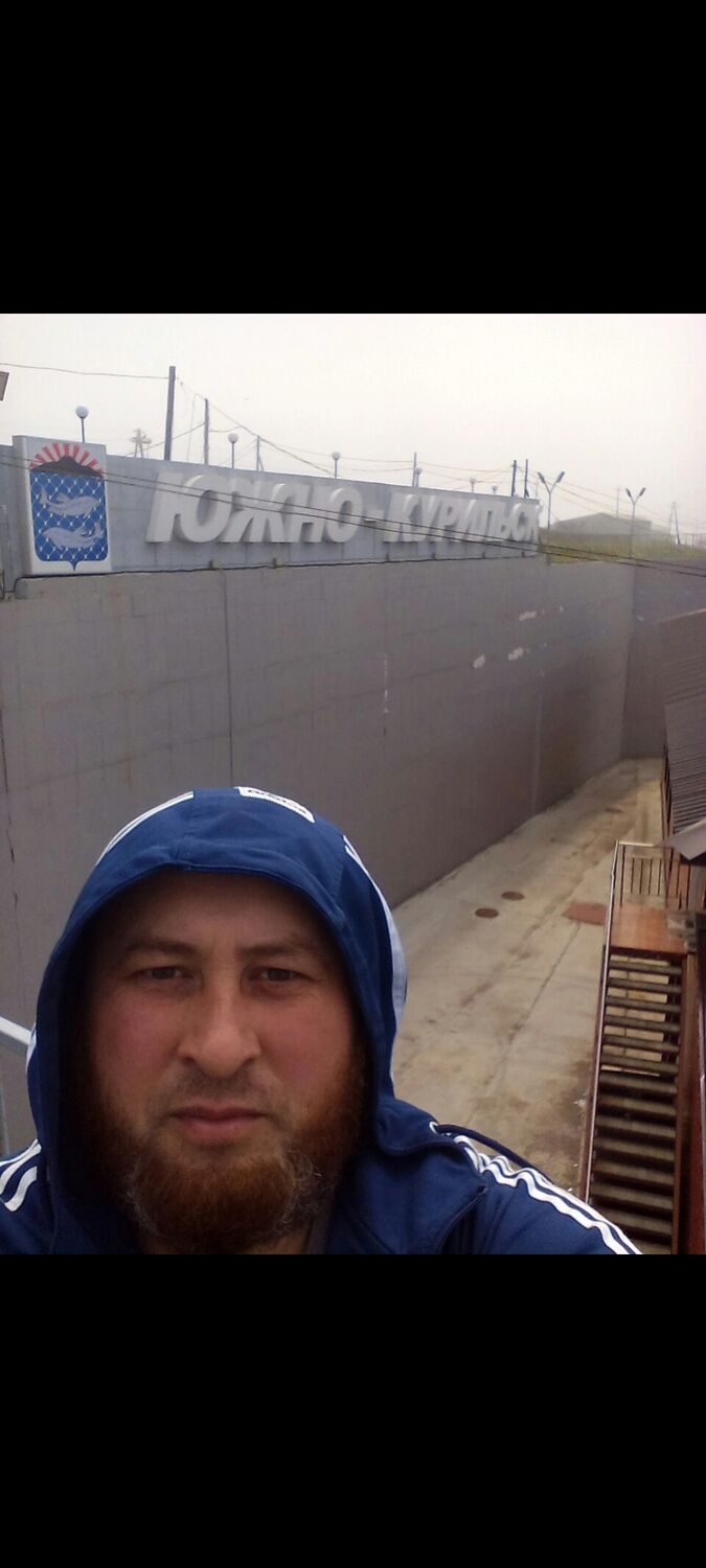 ���� 43981911 ������� �����, 43 ����, ���� ���������� � ���