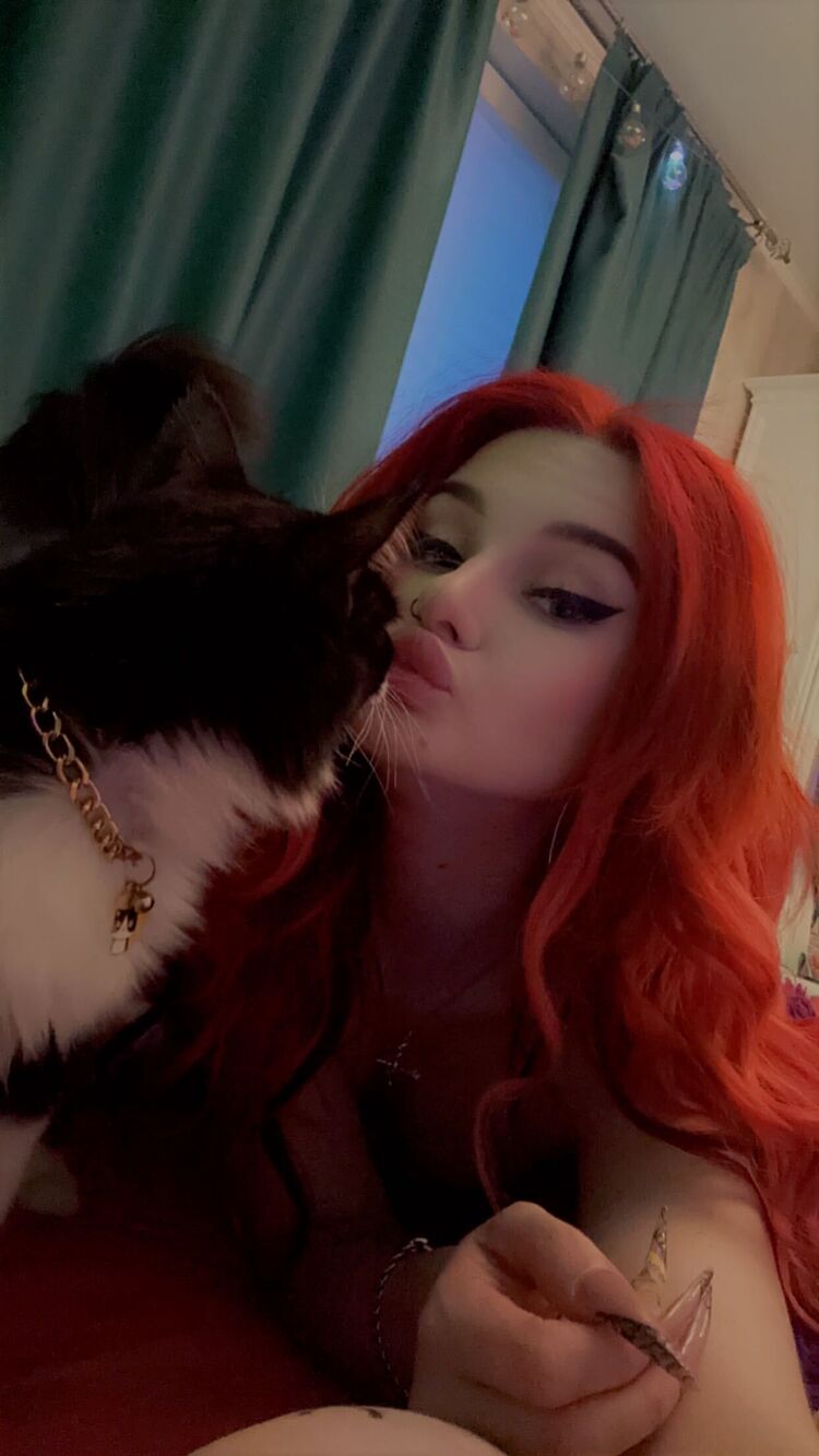  --,   , 26 ,   ,   