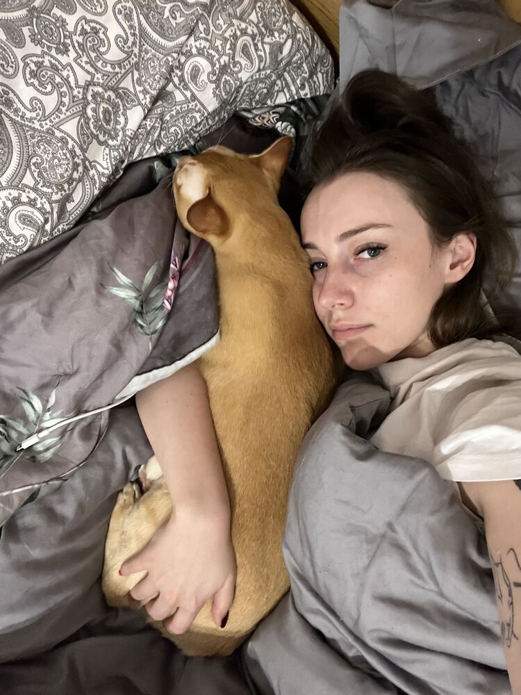 ���������� �����-���������, ���� ������� ��������, 30 ���, ������������ ��� ������, ����� � ���������