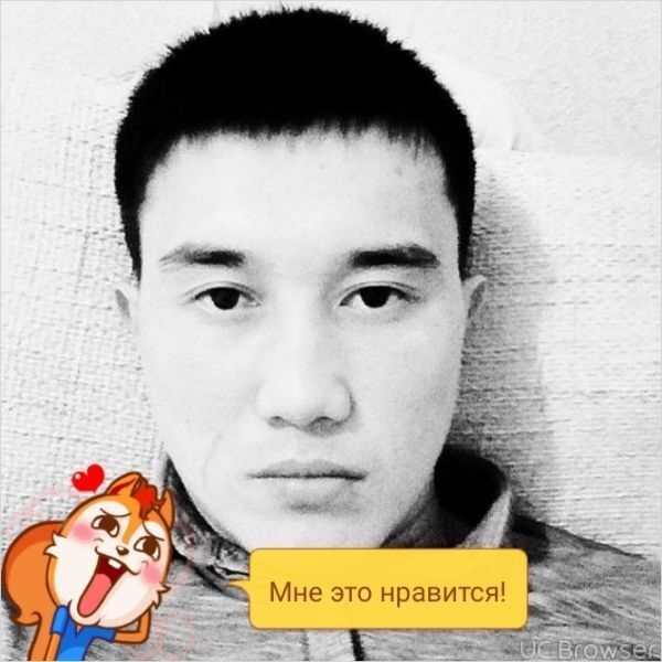  12164271  , 32 ,    -